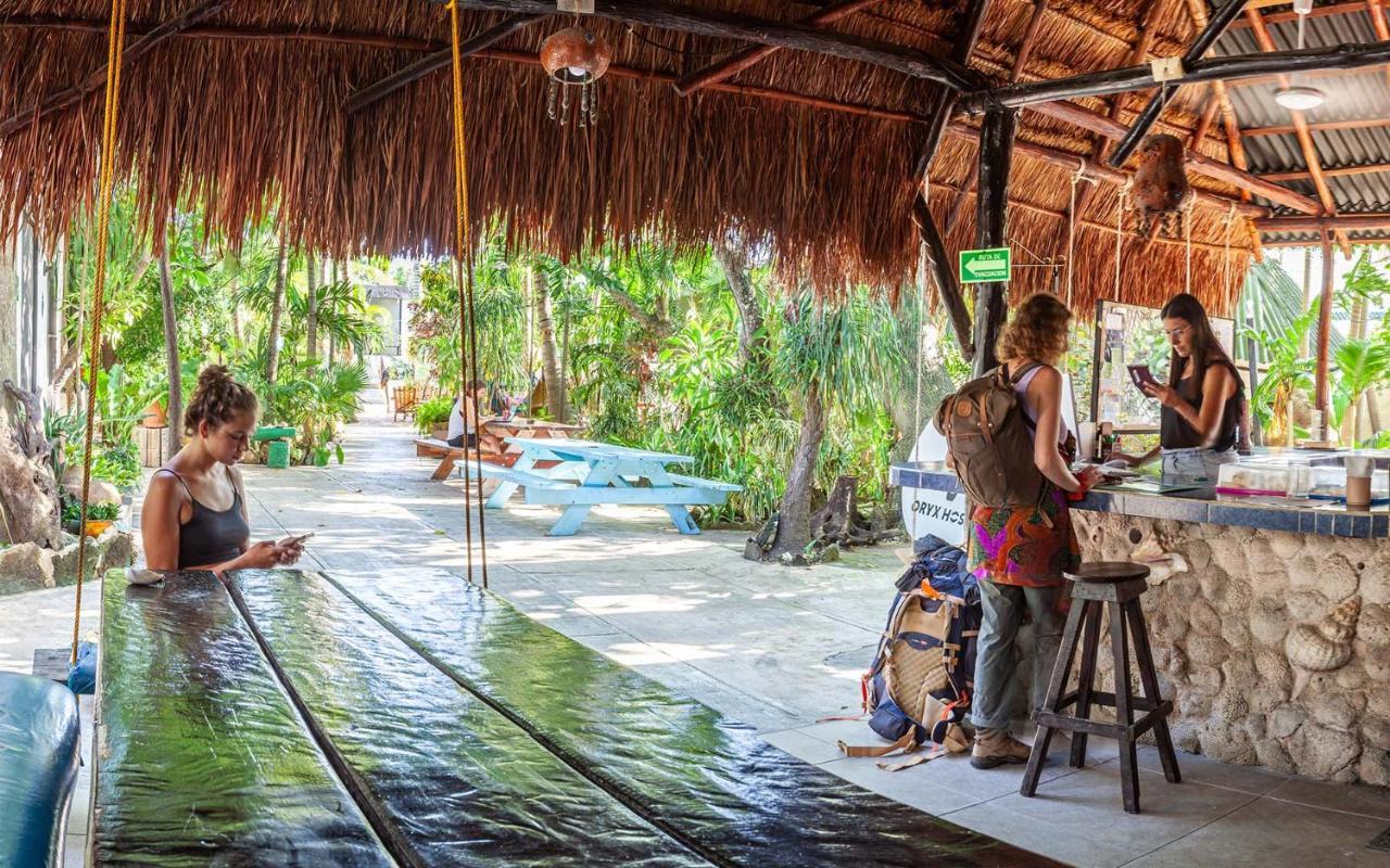 Oryx Auberge de jeunesse Tulum