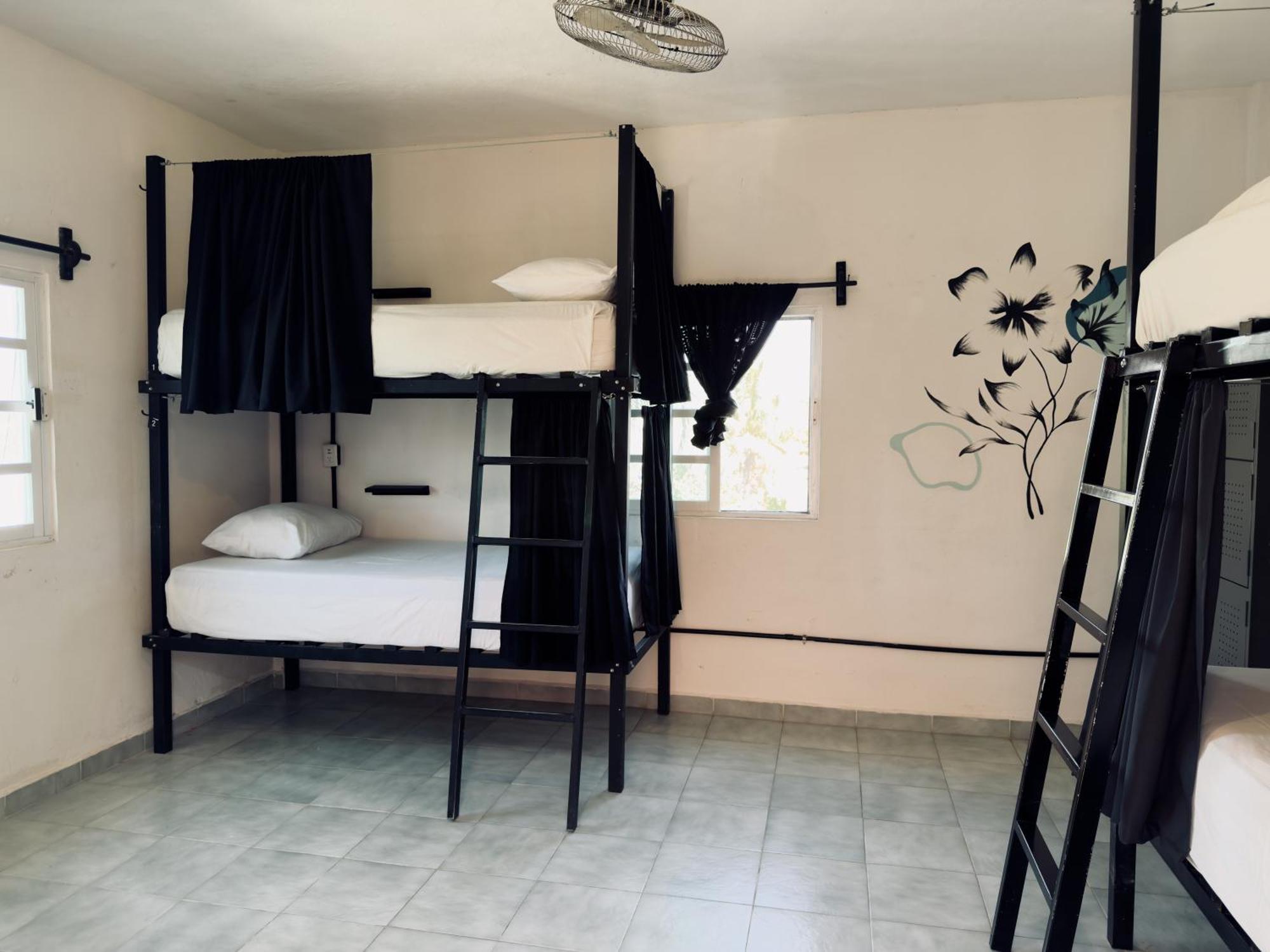 Oryx Auberge de jeunesse Tulum