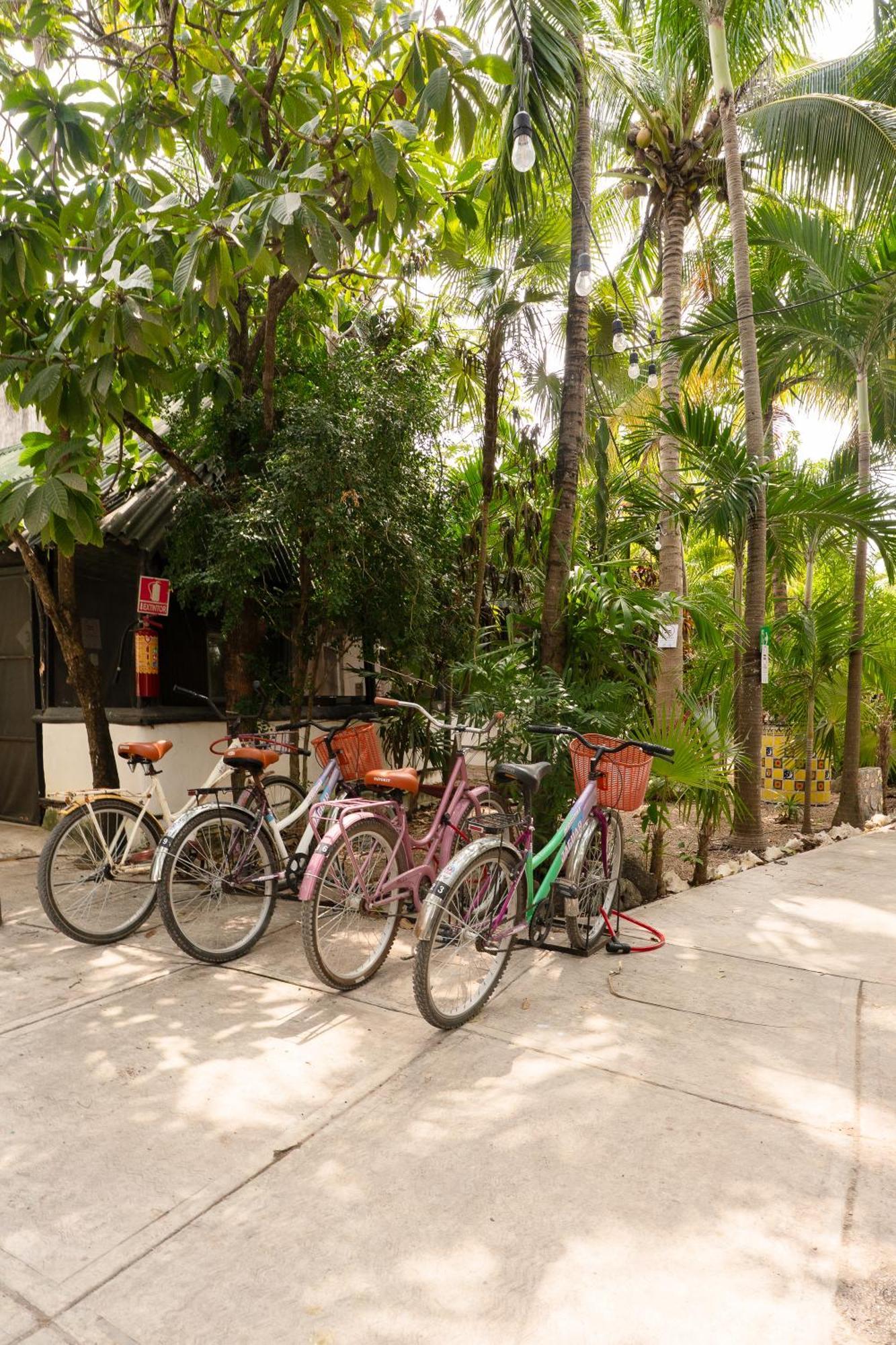 Oryx Auberge de jeunesse Tulum